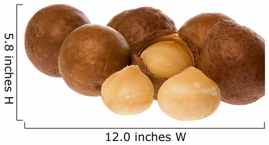 Macro Image Macadamia Nuts Wall Decal