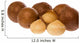 Macro Image Macadamia Nuts Wall Decal