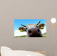 Nose Cow Wall Decal