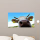 Nose Cow Wall Decal