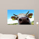 Nose Cow Wall Decal