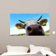 Nose Cow Wall Decal