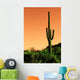 Saguaro Cactus Sonoma Desert Wall Decal