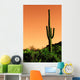 Saguaro Cactus Sonoma Desert Wall Decal