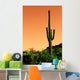 Saguaro Cactus Sonoma Desert Wall Decal