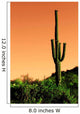 Saguaro Cactus Sonoma Desert Wall Decal