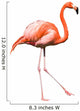 Dancing Red Caribbean Flamingo Wall Decal