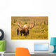 Moose Denali Wall Decal