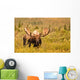 Moose Denali Wall Decal