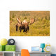 Moose Denali Wall Decal
