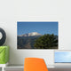 Pikes Peak with Evergreen Wall Decal