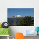 Pikes Peak with Evergreen Wall Decal