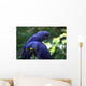 Blue Macaws Wall Decal