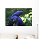 Blue Macaws Wall Decal