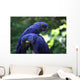 Blue Macaws Wall Decal