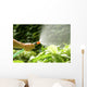 Watering Plants with Garden Wall Decal
