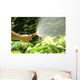 Watering Plants with Garden Wall Decal