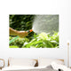 Watering Plants with Garden Wall Decal