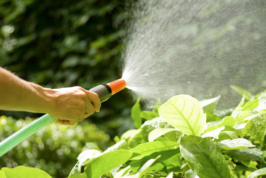 Watering Plants with Garden Wall Decal