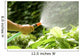 Watering Plants with Garden Wall Decal