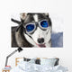 Husky Wearing Sunglasses Protection Wall Decal