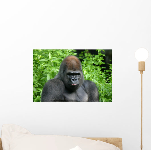Gorilla Wall Decal