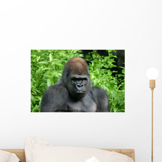 Gorilla Wall Decal