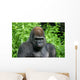 Gorilla Wall Decal