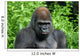 Gorilla Wall Decal