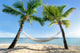 Urlaub Am Palmenstrand Der Wall Decal