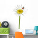 Ladybug Daisy Wall Decal