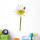 Ladybug Daisy Wall Decal