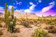 Arizona Desert Ladscape Wall Decal