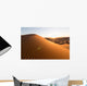 Sahara Desert Wall Decal