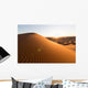 Sahara Desert Wall Decal