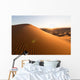 Sahara Desert Wall Decal
