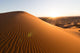 Sahara Desert Wall Decal