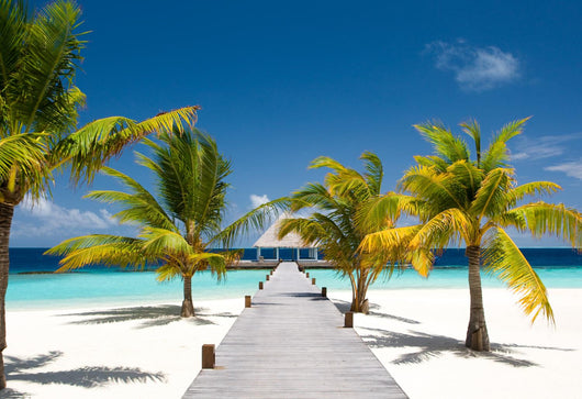 Maldivian Ocean Flair Wall Decal