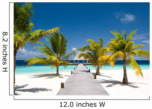 Maldivian Ocean Flair Wall Decal