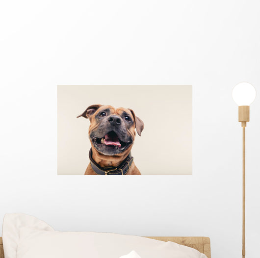 Bulldogge Portrait Wall Decal