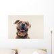 Bulldogge Portrait Wall Decal