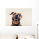 Bulldogge Portrait Wall Decal
