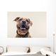 Bulldogge Portrait Wall Decal