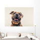 Bulldogge Portrait Wall Decal