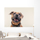 Bulldogge Portrait Wall Decal