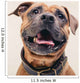 Bulldogge Portrait Wall Decal