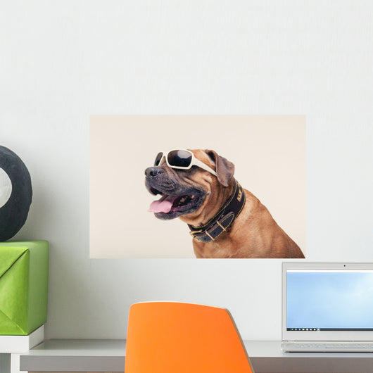 Bulldogge with Cool Shades Portrait Wall Decal