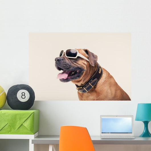Bulldogge with Cool Shades Portrait Wall Decal