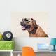 Bulldogge with Cool Shades Portrait Wall Decal