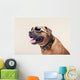 Bulldogge with Cool Shades Portrait Wall Decal